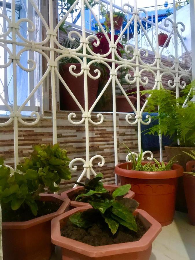 דירות צ'פצ'אוונה Dar Sidi Mfedal מראה חיצוני תמונה